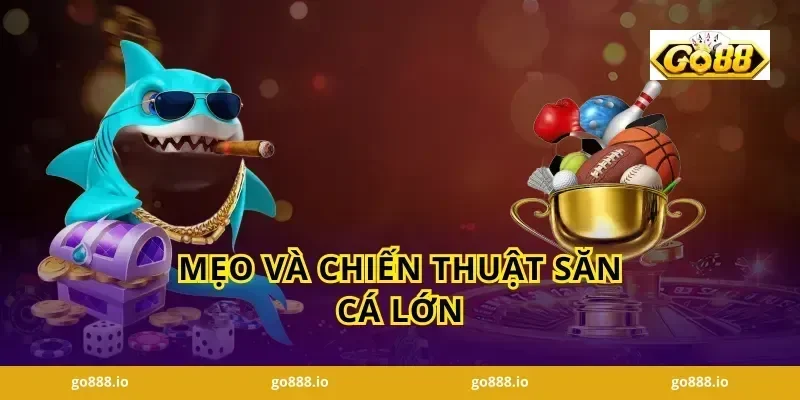Mẹo và chiến thuật săn cá lớn