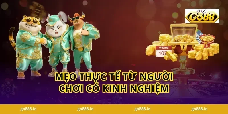 Mẹo Thực Tế Từ Người Chơi Có Kinh Nghiệm